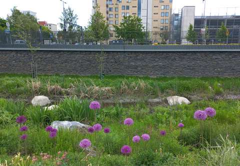 Kuvassa näkyy okran värinen kerrostalo sekä pysäköintirakennus. Kuvan keskellä on tukimuuri, jonka edessä on vihreää kasvillisuutta sekä violetin eri sävyin kukkivia laukka-kasveja.