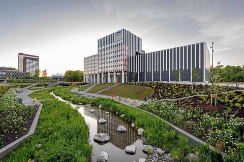 Kuvan taustalla on korkeita, moderneja rakennuksia, keskellä virtaa joki. Joen varrella on monenlaista viherkasvillisuutta.