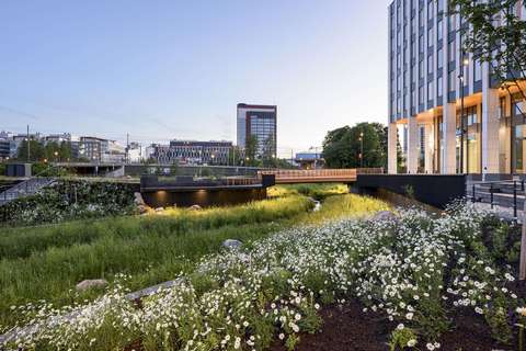 Kuvassa on kerrostaloja ja vihreää niittyä sekä valkoisia kukkia.