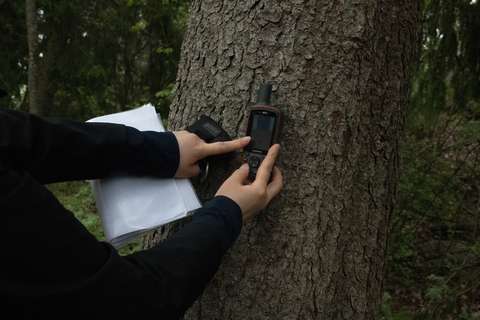 Kädet ja gps-mittari puuta vasten.