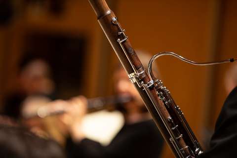 Fagotin varaäänenjohtaja