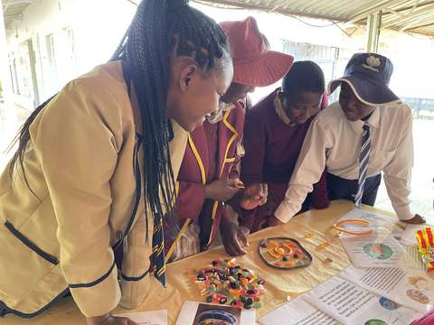 Opiskelijat tutkivat solurakennetta.