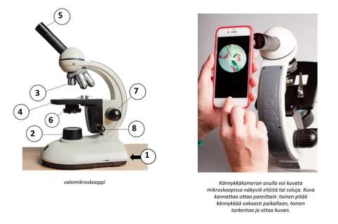 Kuvissa on mikroskooppi, johon on merkitty eri osat ohjeessa käytetyin numeroin, sekä malli kuvan ottamisesta mikroskoopin näyttämistä eliöistä.