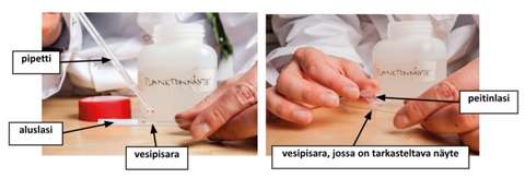 Kuvissa tehdään planktonnäytettä.