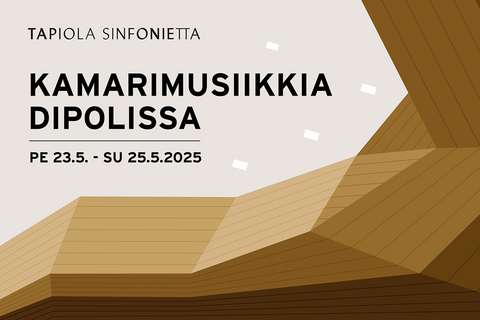 Kamarimusiikkia Dipolissa