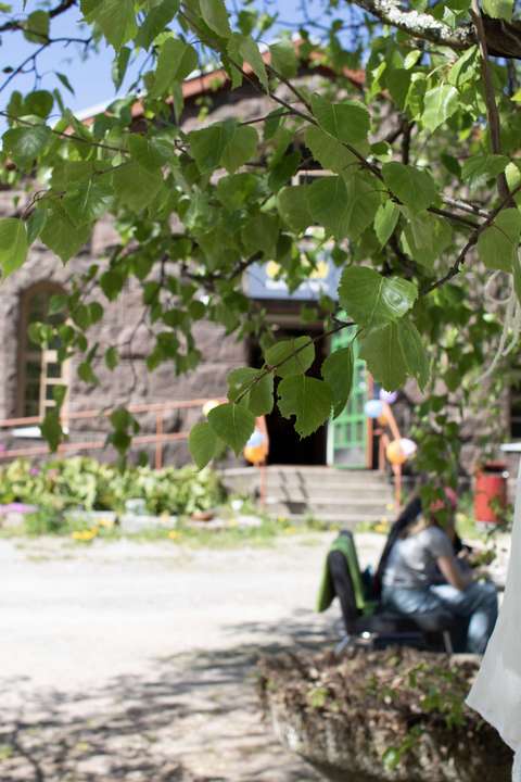 Kuvassa Gräsan taitojen talo ja koivu