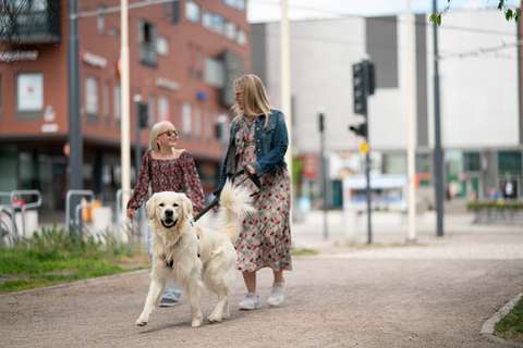 Valokuvassa nainen, lapsi ja kultainen noutaja kävelevät hiekkaisella kävelytiellä. Taustalla katuympäristö ja rakennuksia.