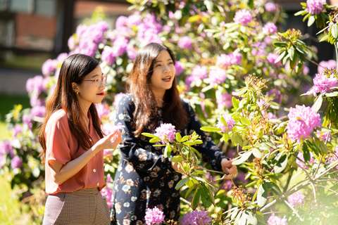 Valokuvassa kaksi naista ihailee kukkivia rhododendron-pensaita.