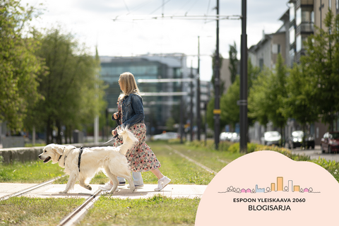 Koiran ulkoiluttaja ylittää raitiotiekiskot suojatietä pitkin. Taustalla näkyy paljon vihreitä lehtipuita ja kerrostaloja.
