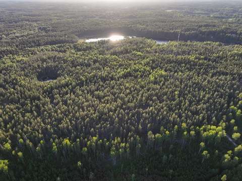 Kesäisessä ilmakuvassa näkyy laaja metsä. Taaempana pilkottaa pitkulainen järvi, josta aurinko heijastuu.