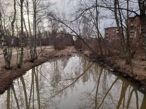 Leveä oja, jonka molemmilla puolilla koivuja ja vanhaa viheraluetta.