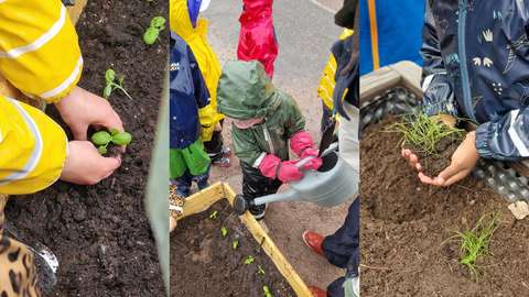 Barn planterar växter i planteringslådor.