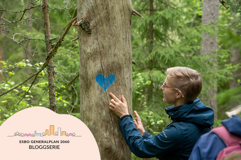 På bilden undersöker en vandrare en torrfura på vilken en blå, hjärtformad stigmarkering har målats. Somrig skog runt omkring.