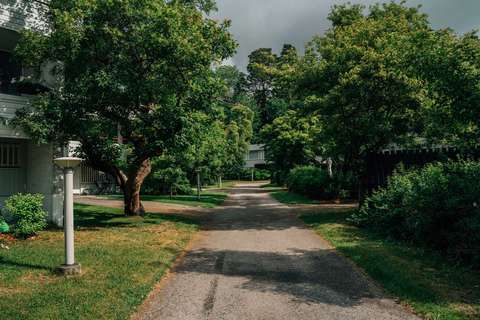 A pedestrian street in a lush environment.