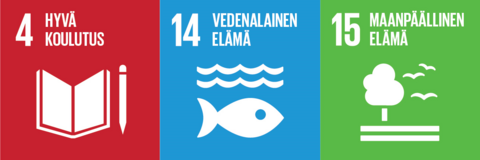 SDG-ikonit.