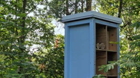 Ett ljusblått torn för bin mitt i en lövskog. Inne i tornet finns träklabbar med hål där bina kan bo.