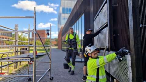 Tre arbetare fäster med en batteriborrmaskin stålkassetter på biodiversitetsväggens trävägg.