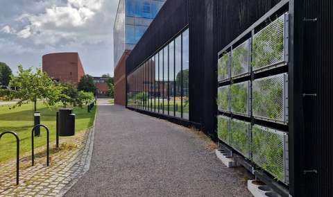 En sandväg med en vägg i en byggnad som kantas av en vägg med groende växter, en vägg med nio stålkassetter. 