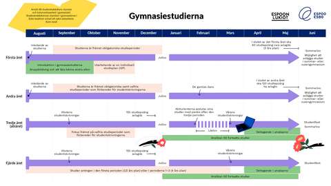 Schematisk bild som visar hur gymnasiestudierna framskrider.