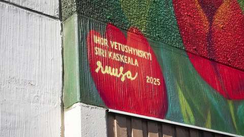 Yksityiskohta seinämaalauksesta, jossa näkyy teoksen tekijöiden nimet: Ihor Vetushynskyi, Siri Kaskeala ja Ruusa.