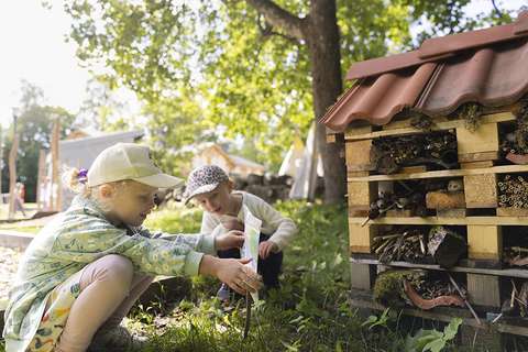 Kaksi lasta ihmettelee hyönteishotellia kesäisellä pihalla.