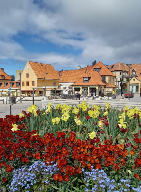 Kukkia ja taloja Gotlannissa.