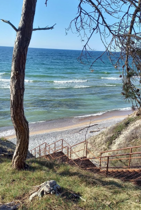 Rannikko Gotlannissa.