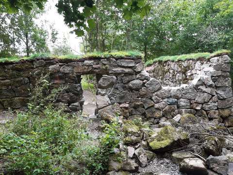 Näkymä kunnostettuihin myllynraunioihin, joiden päällä kasvaa erilaista kasvillisuutta.