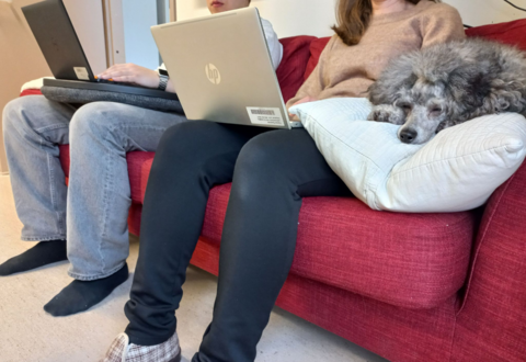 Kaksi henkilöä on istumassa punaisella sohvalla läppärit sylissään. Vieressä koira nukkuu tyynyllä.