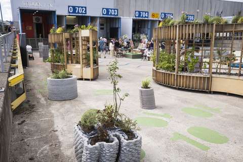 Puisia ja betonisia viherkalusteita asfalttipihalla.