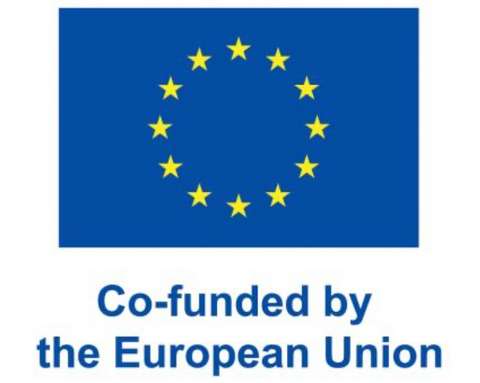 Co-funded by the European Union