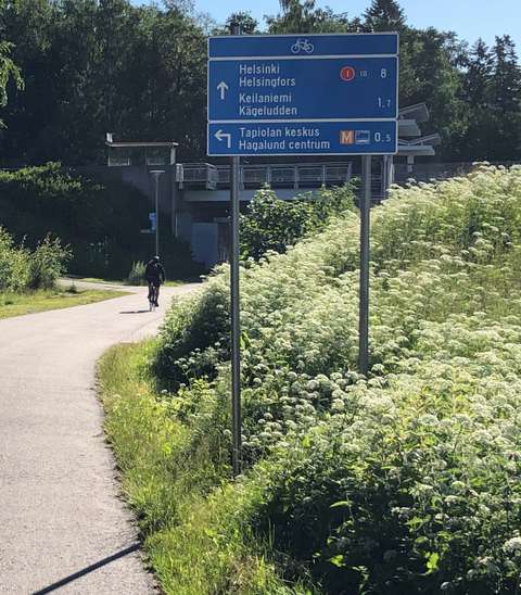 En cyklist kör på en cykelväg. På dikesrenen finns träd och vita sommarblommor. En ny informationsskylt hjälper till att hitta rätt rutt.