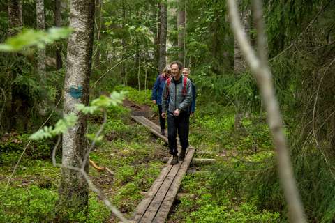 People walking along boardwalks in the forest.