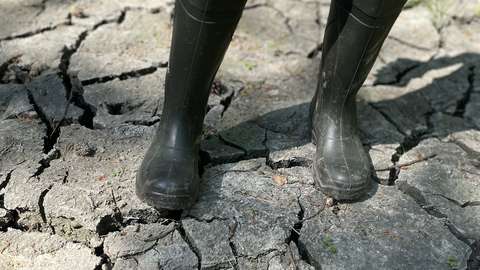 A person standing on dried clay soil. The soil clay has chipped. 