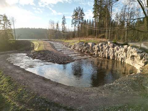Flodens vattenbassäng och stenrevlar. I bakgrunden en höstlig skog och grå himmel.