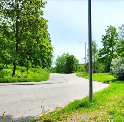 Kuvassa asfaltoitu tie, jonka molemmilla reunoilla viheralue.