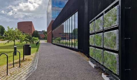 Kaupunkimaisema, jonka vasemmalla reunalla nurmialue ja oikealla puolella viherseinäke. 