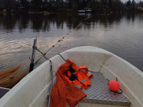 Veneen keula, jossa erilaisia kalastusvälineitä.
