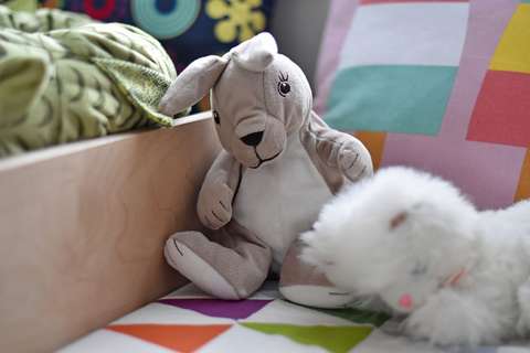 Kuvituskuva, pehmoleluja.