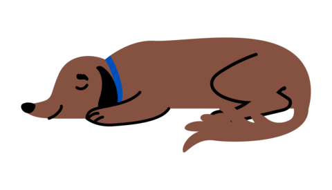 Kuvituskuvassa nukkuva koira.