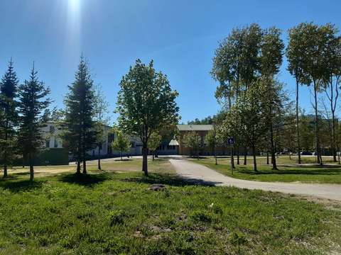 Kirkas sininen taivas, vihreää nurmea ja puita. Puiden välissä näkyy tie, joka johtaa puiden takana pilkottavalle rakennukselle.