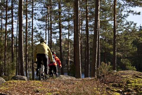 Ihmisiä pyöräilemässä metsämaastossa.