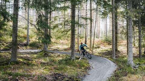 Kuvassa pyöräilijä pyöräilee metsän keskellä polkua pitkin.