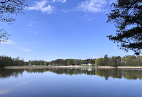 Valokuvassa kesäinen maisema, sininen taivas, järvi ja metsäinen ranta.