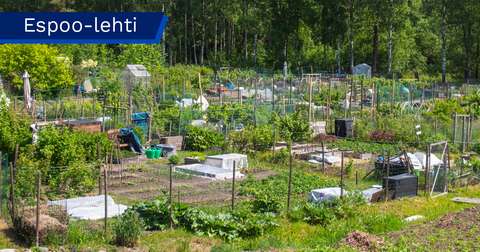 The Soukka allotment garden area with fenced allotment plots, raised garden beds, and a small greenhouse.
