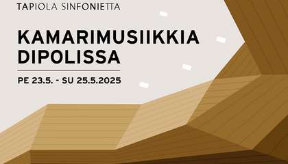 Kamarimusiikkia Dipolissa