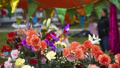 Potted flowers in front of an event tent decorated with banners.