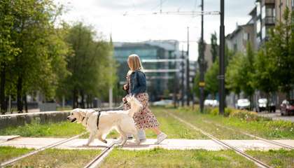 Ihmisiä ja koira ylittämässä Raide-Jokerin vehreän ylityspaikan.