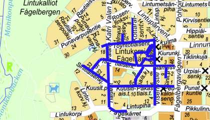 Opaskarttaan on merkitty sinisellä viivalla suunniteltavat kadut.